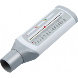 Débitmètre spiromètre Rossmax Peak Flow