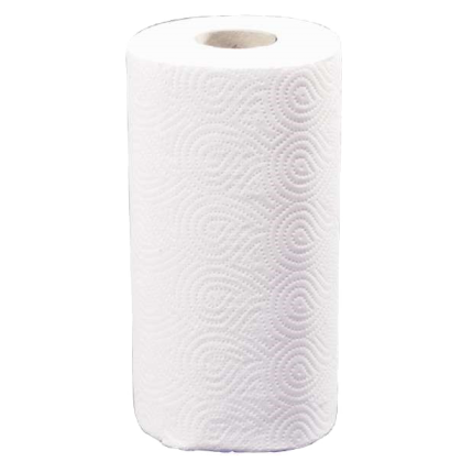 Carton de 28 rouleaux de papier essuie-tout double épaisseur Ecolabel