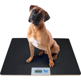 Balance digitale vétérinaire Gima - taille moyenne